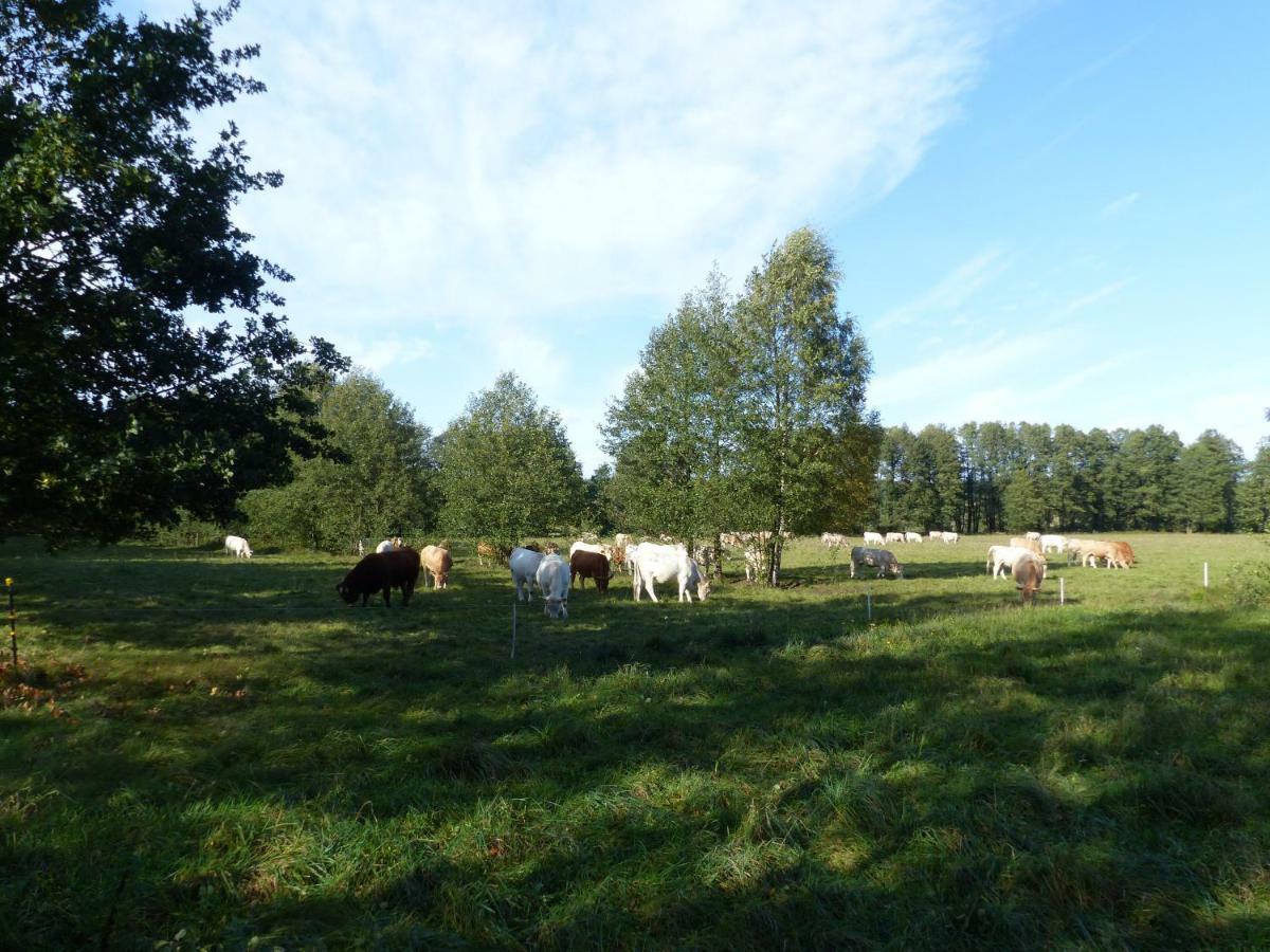 Ferienwohnung Ortrand - Pension Kültér fotó